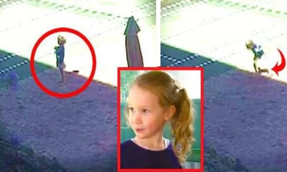 Δηλητηριώδες φίδι δάγκωσε 3χρονη στην αυλή -Δείτε ποιος κατάφερε να τη σώσει (βίντεο)